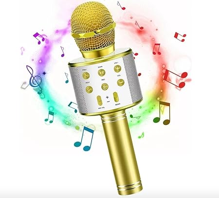 Kids Hand Mic